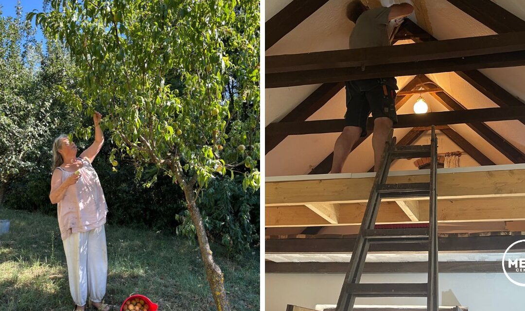 Hongaarse bureaucratie